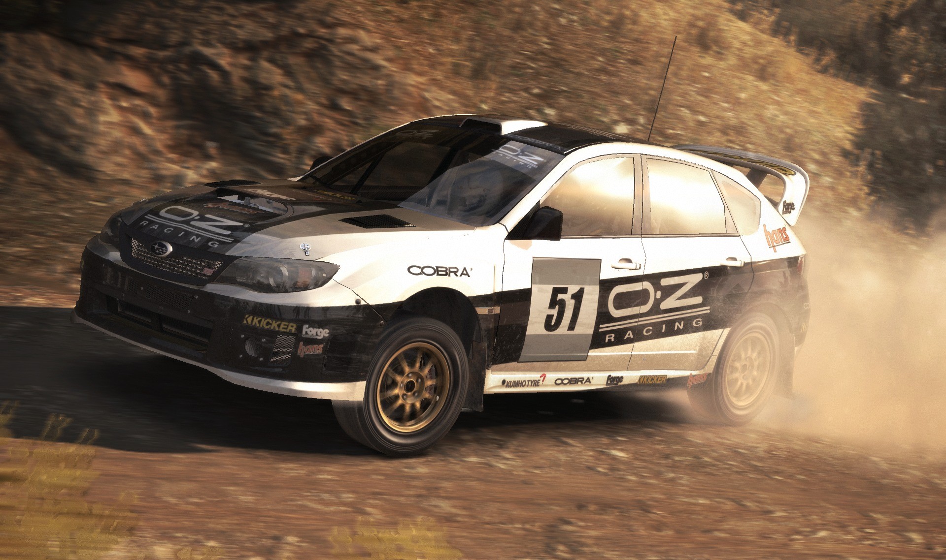 DiRT Rally - Imagen 40